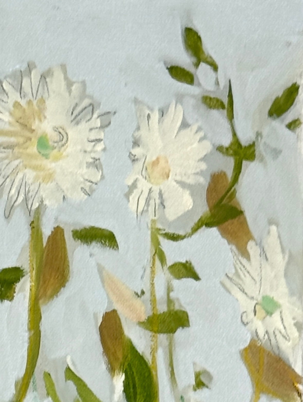 Daisy Dance