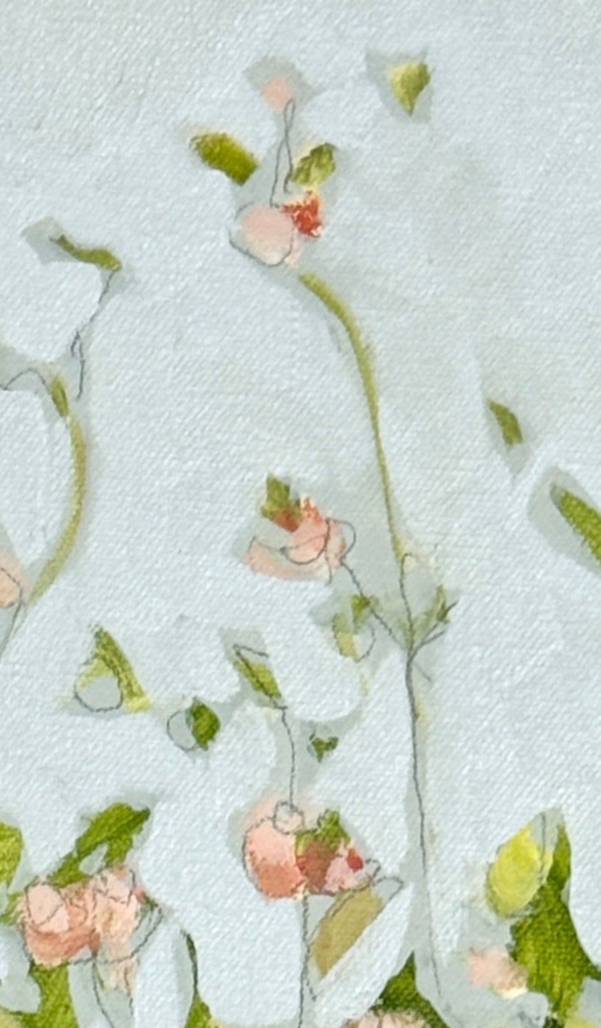 Blush Rose