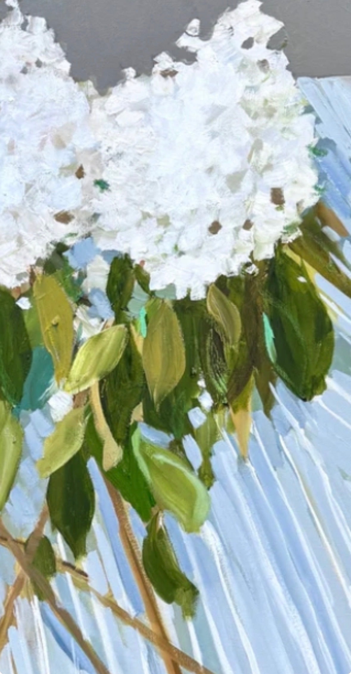 Hydrangea Harvest