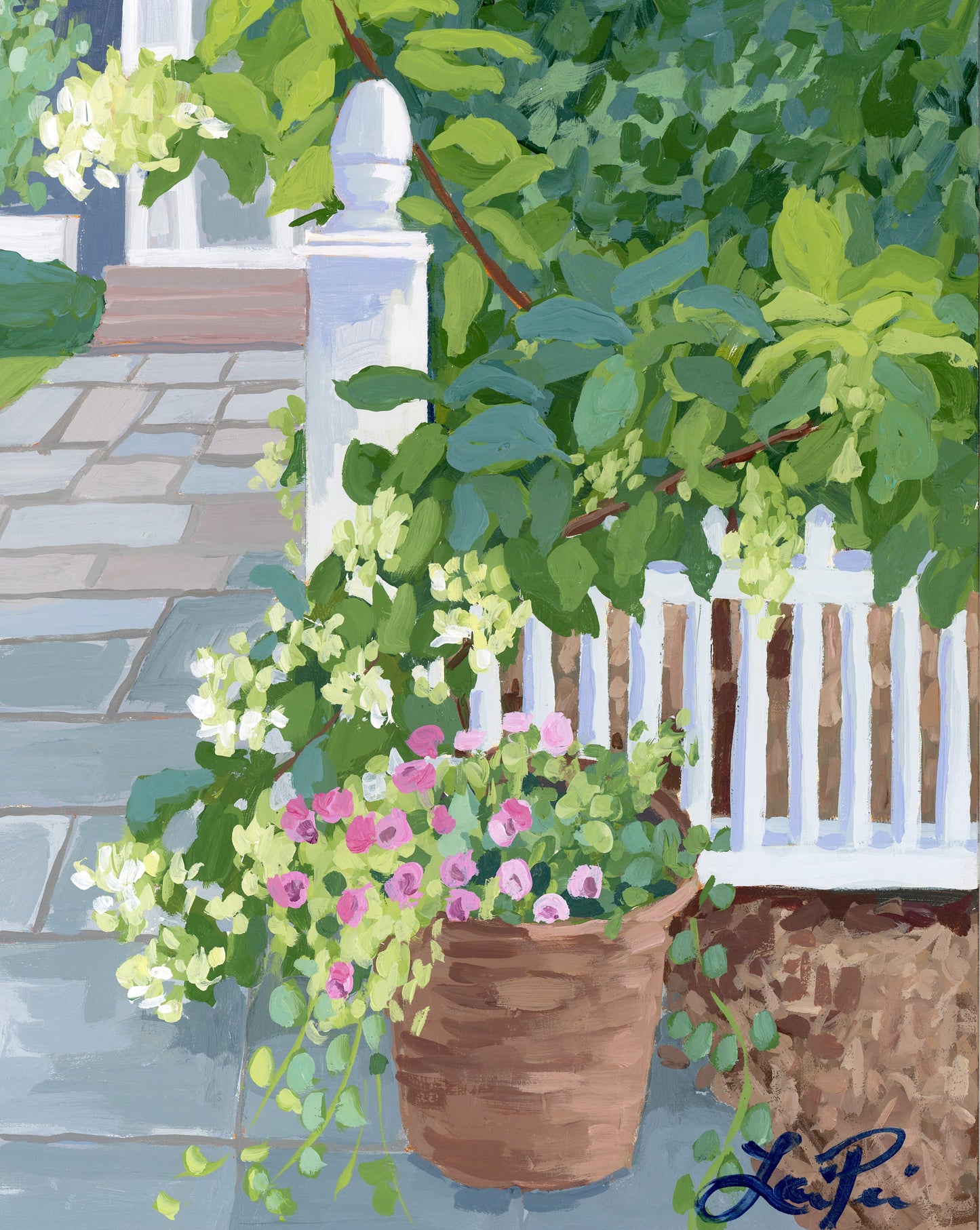 Lauri Prins hydrangeas with pink and white blooms brighten garden fences and a stone patio path.