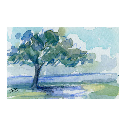 Live oak watercolor by Elizabeth Sheats Art & Design, blue shadows on grass beneath a partly cloudy sky.