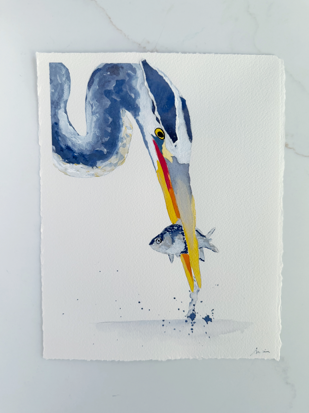 Watercolor painting of a Great Blue Heron catching a fish in its beak.