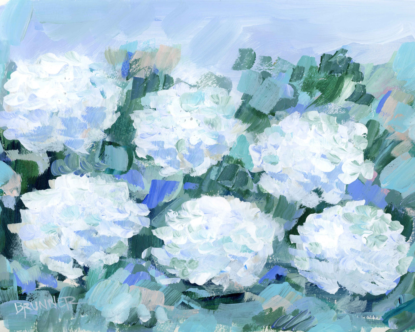 Cottage White Hydrangeas 3