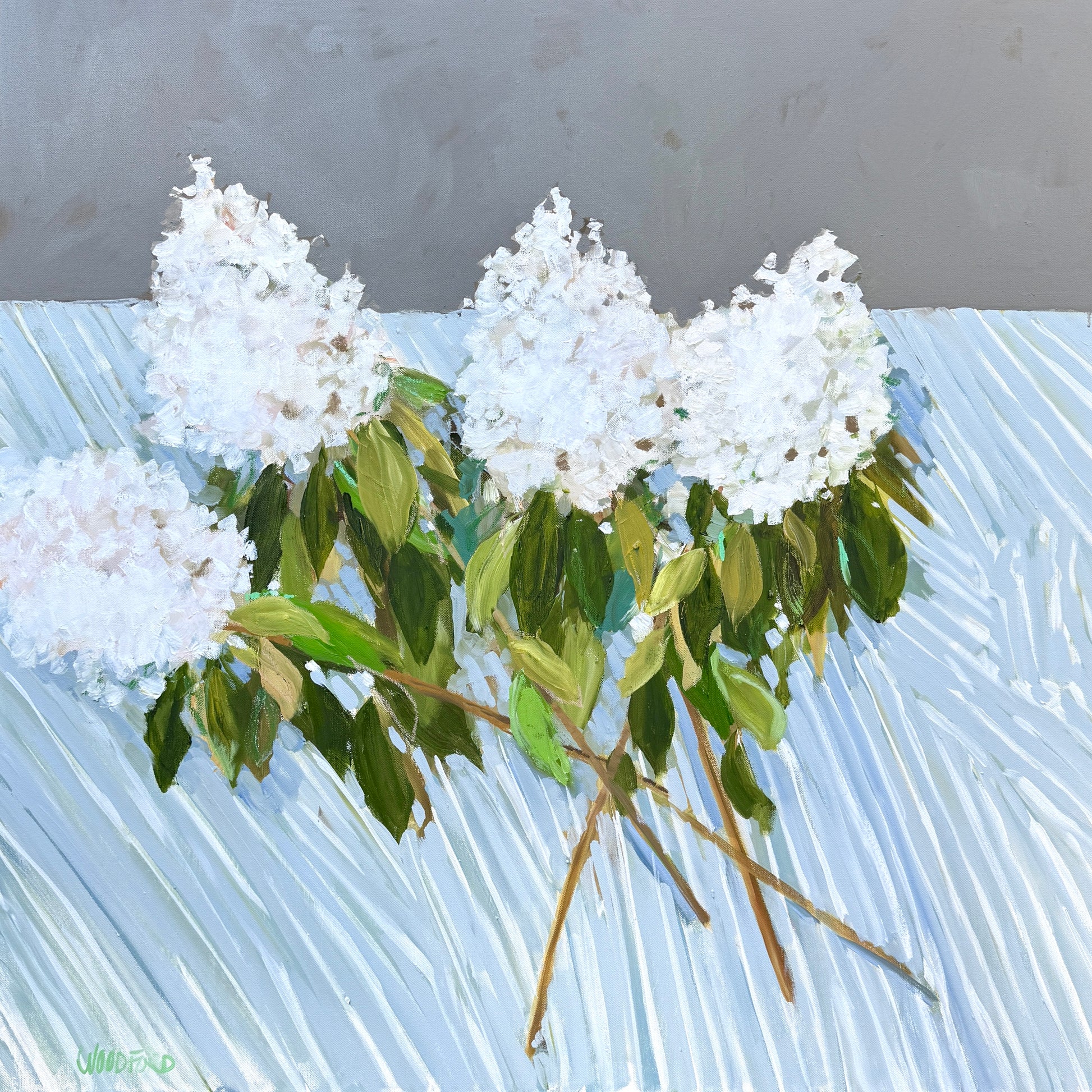 Four white hydrangeas with green leaves decorate a blue-striped surface in this Shannon Woodford square wall art.