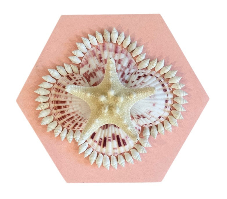 A Kelsey Nichols Art starfish with patterned seashells and small shells adds charm to pink hexagonal beach decor.