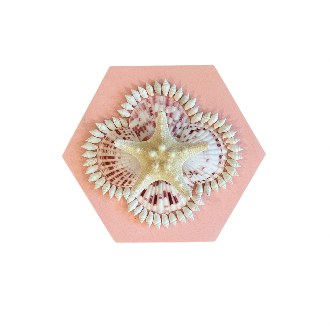 Shell art by Kelsey Nichols Art featuring a starfish and seashells on a pink hexagonal background.