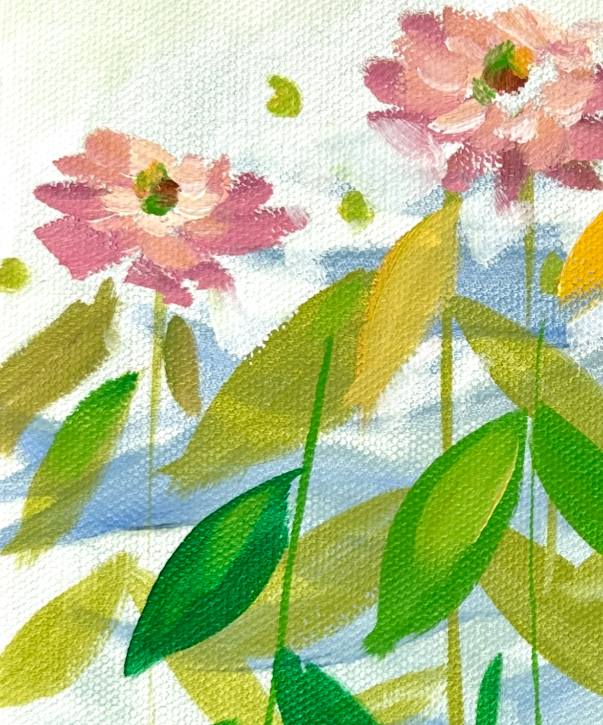 Zinnia 5