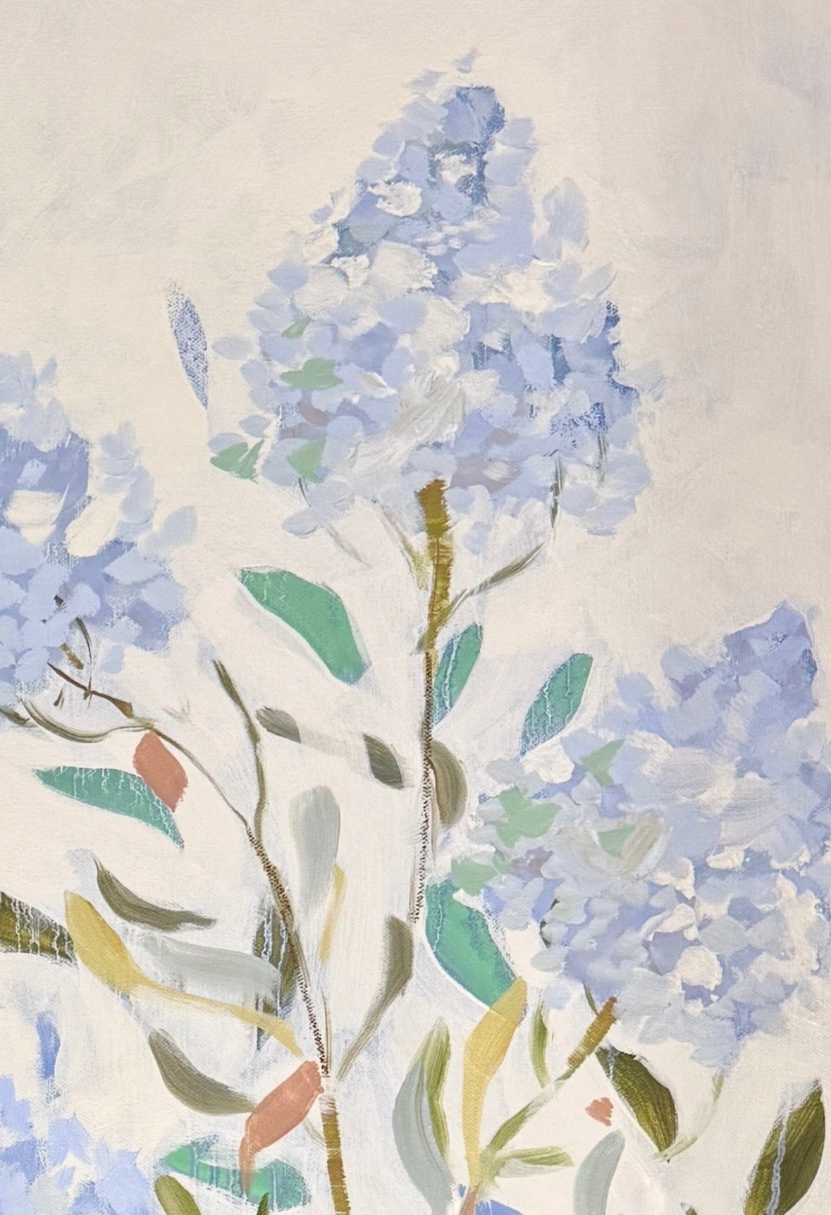 Soft Phlox