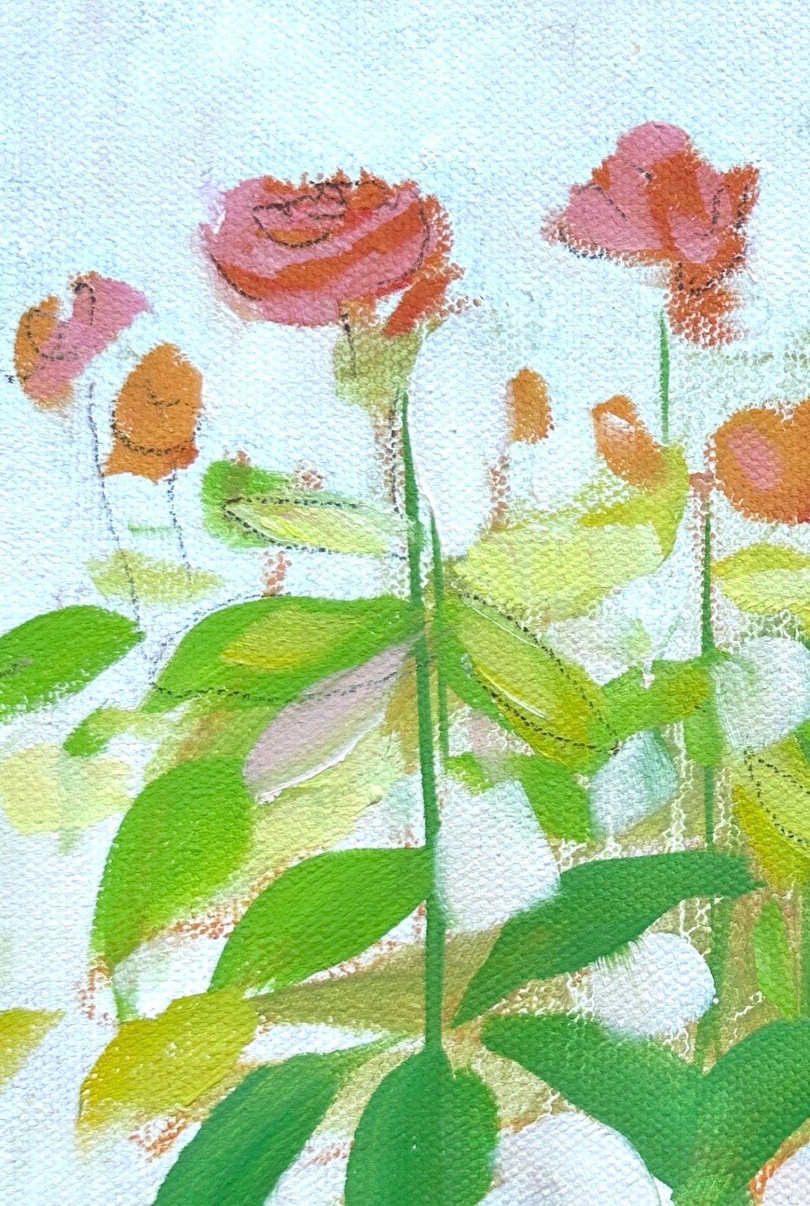 Zinnia Bright