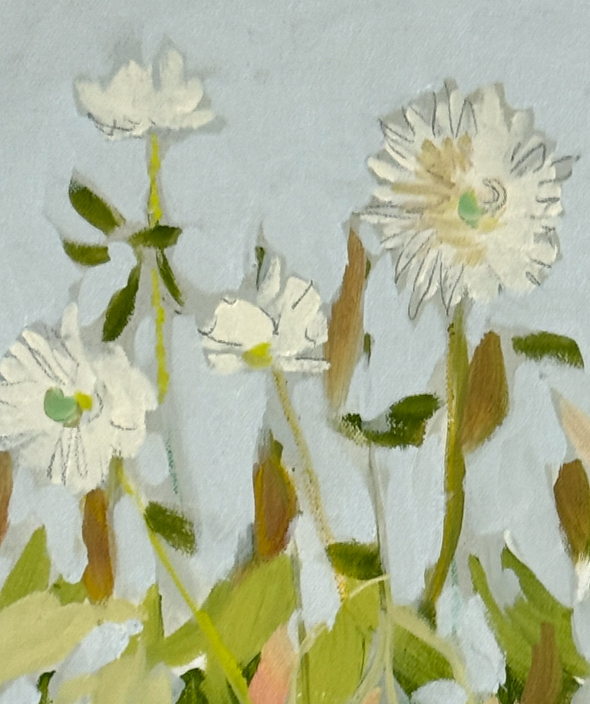 Daisy Dance