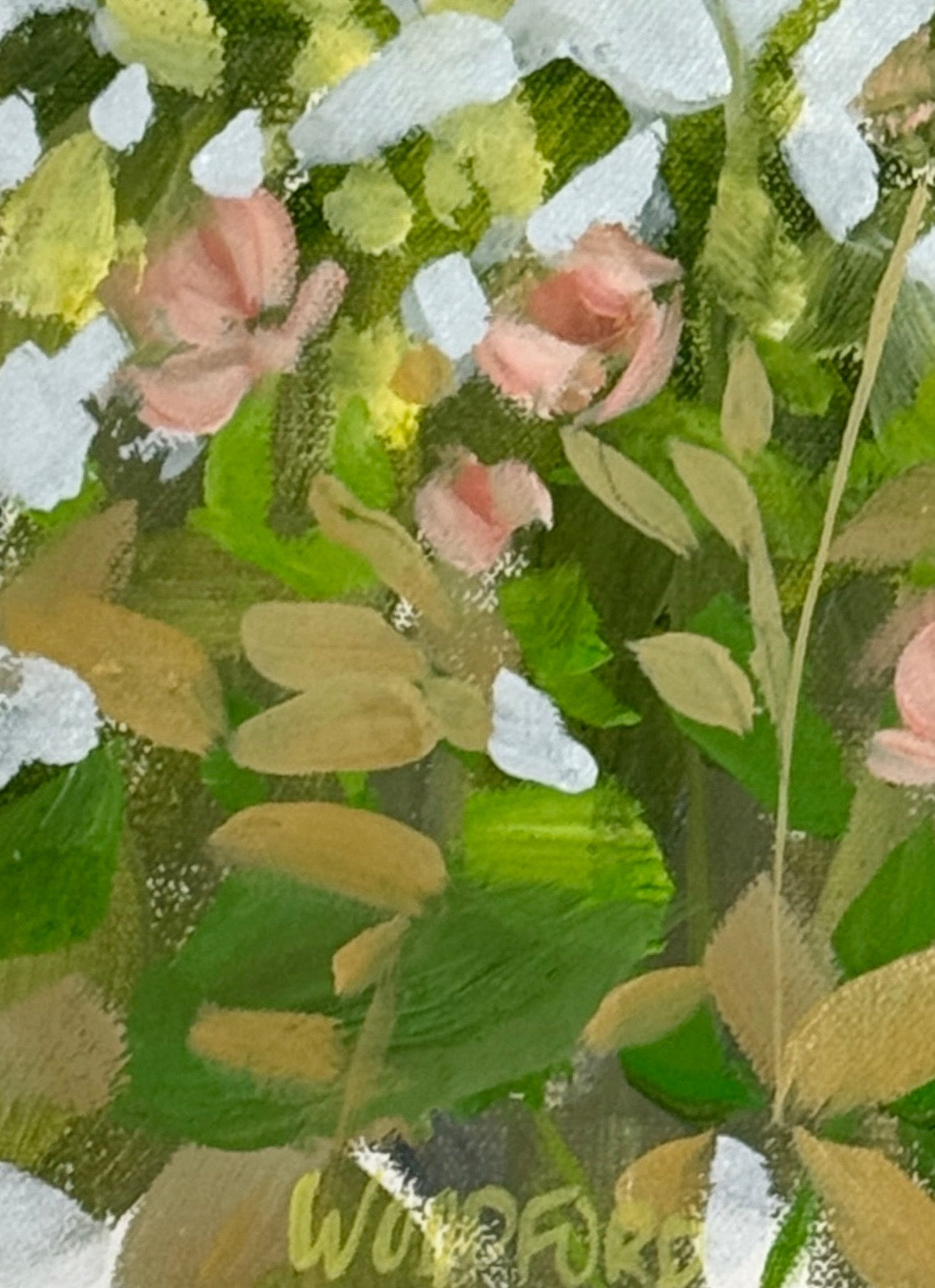 Blush Rose