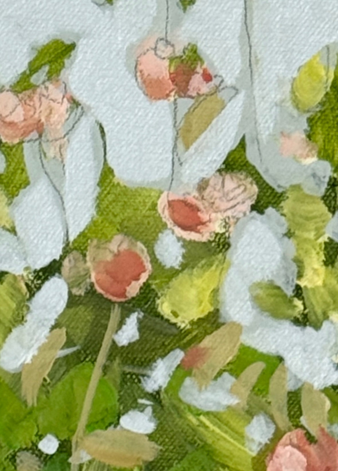 Blush Rose