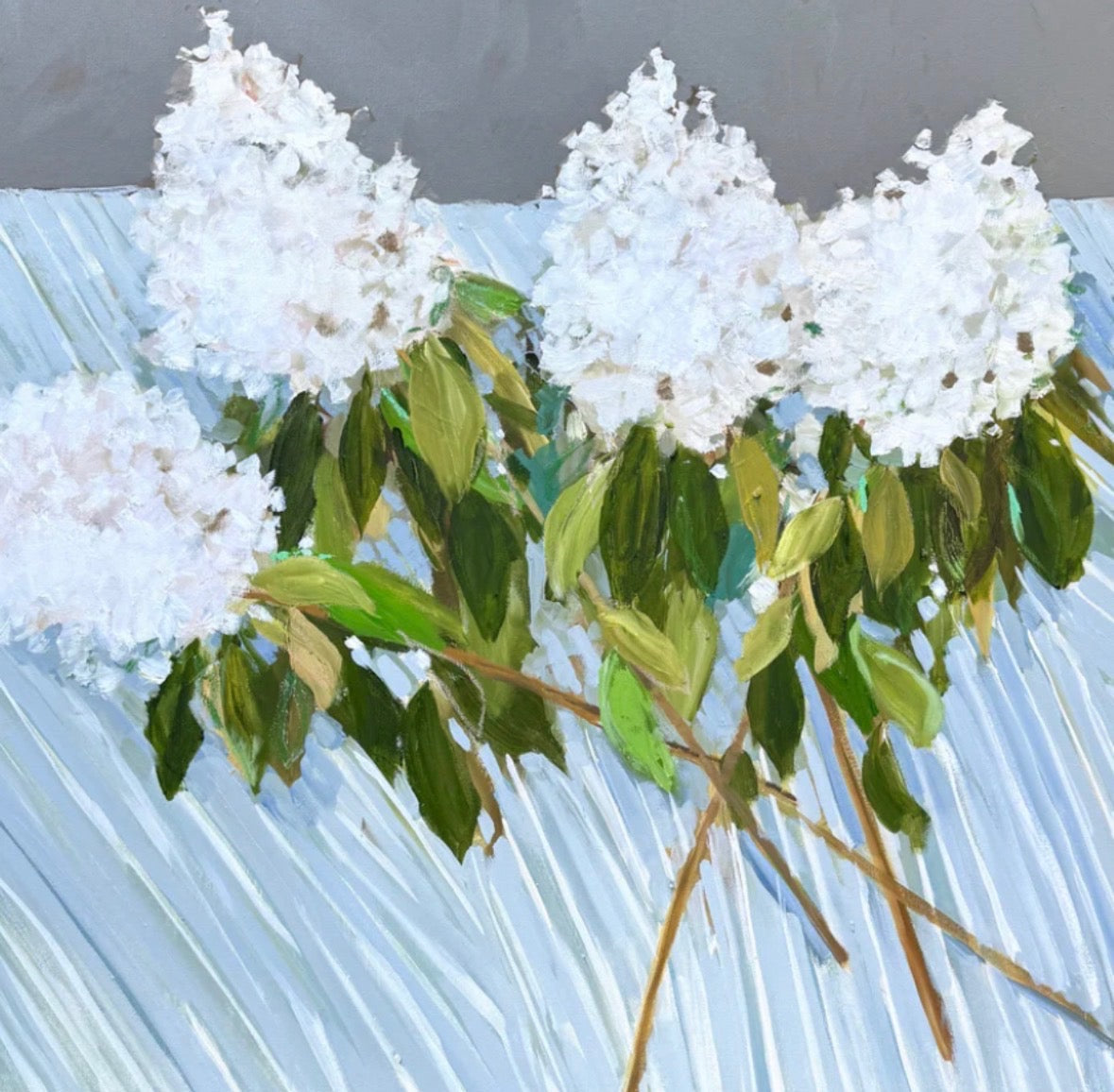 Hydrangea Harvest