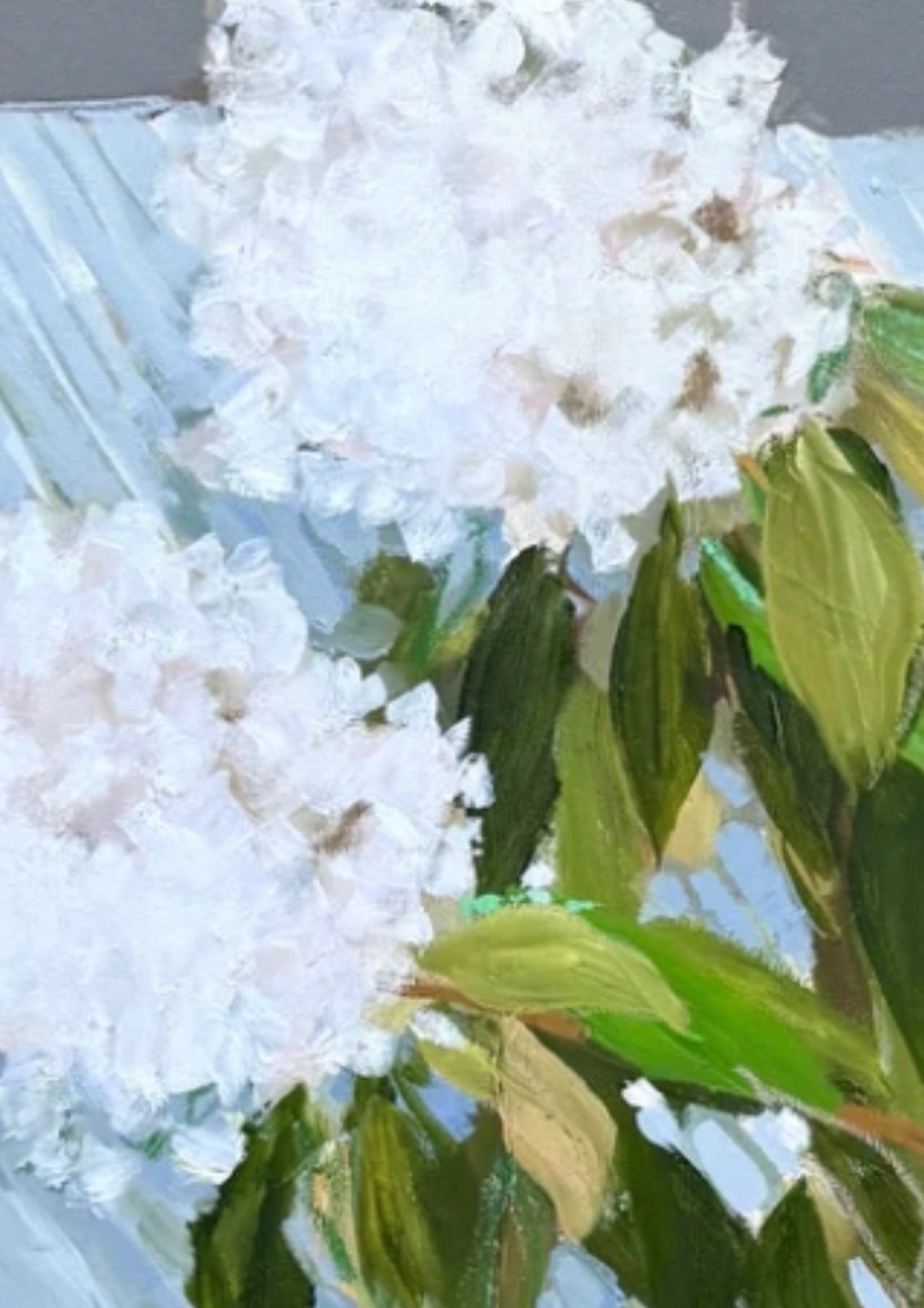 Hydrangea Harvest