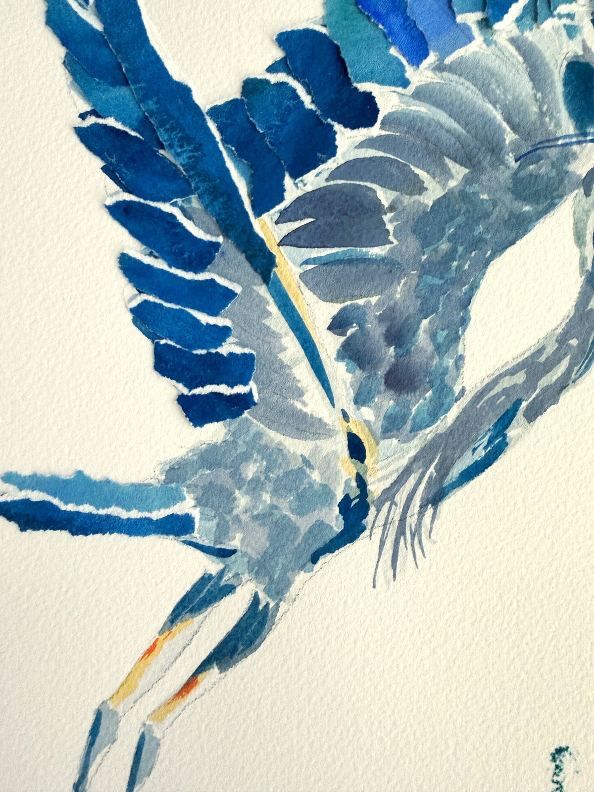 Bird 03