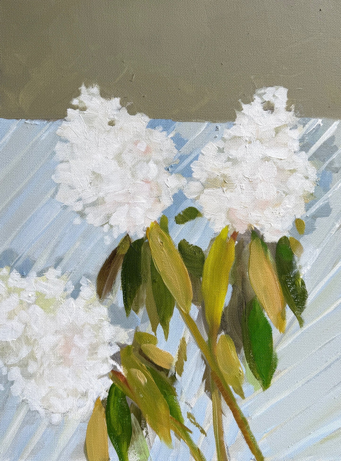 Shannon Woodford canvas wall art with white flowers, green leaves, and a striped blue-gray background.