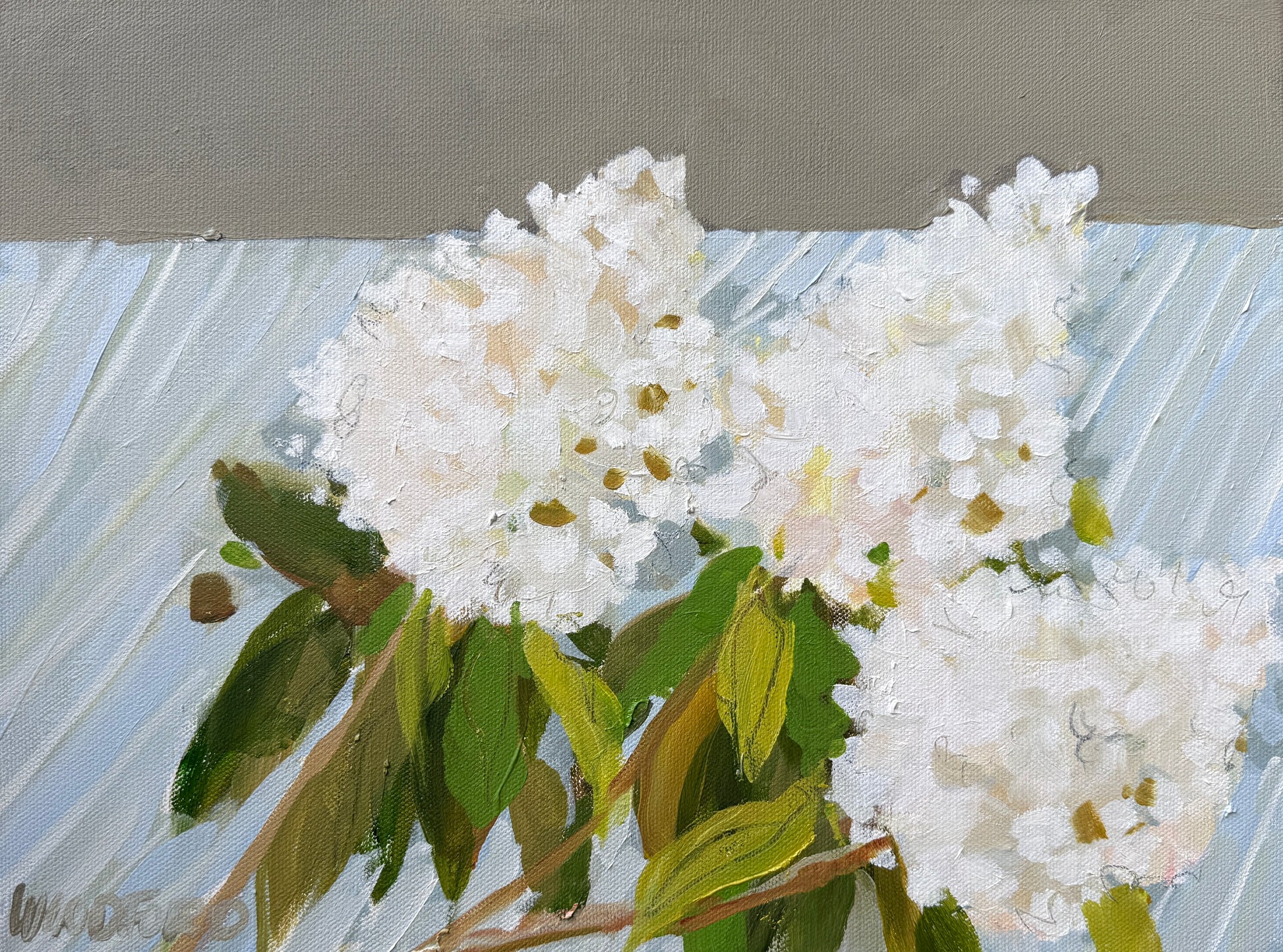 Shannon Woodford 12x16 canvas wall art with white hydrangeas and green leaves on a gray-blue striped background.