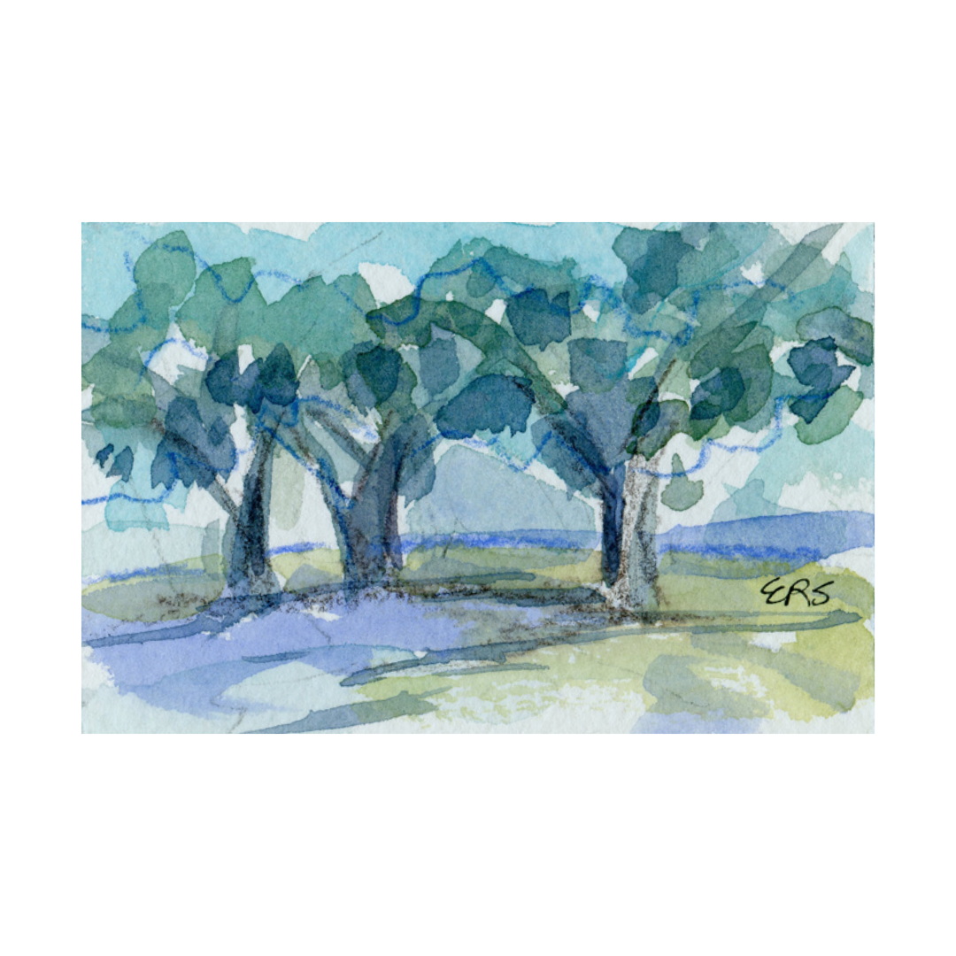 Original watercolor: Four green trees with blue shadows, bright sky. By Elizabeth Sheats Art & Design. Initials ERS visible.