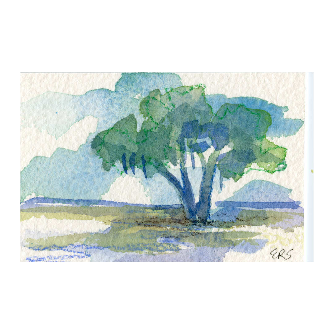 Original watercolor by Elizabeth Sheats Art & Design: live oak with blue trunk in grassy field under light blue sky.