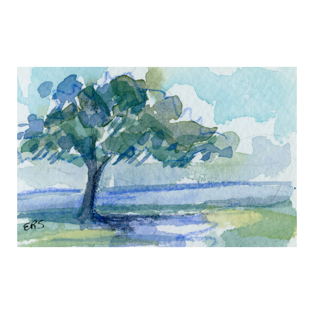 Live oak watercolor by Elizabeth Sheats Art & Design, blue shadows on grass beneath a partly cloudy sky.