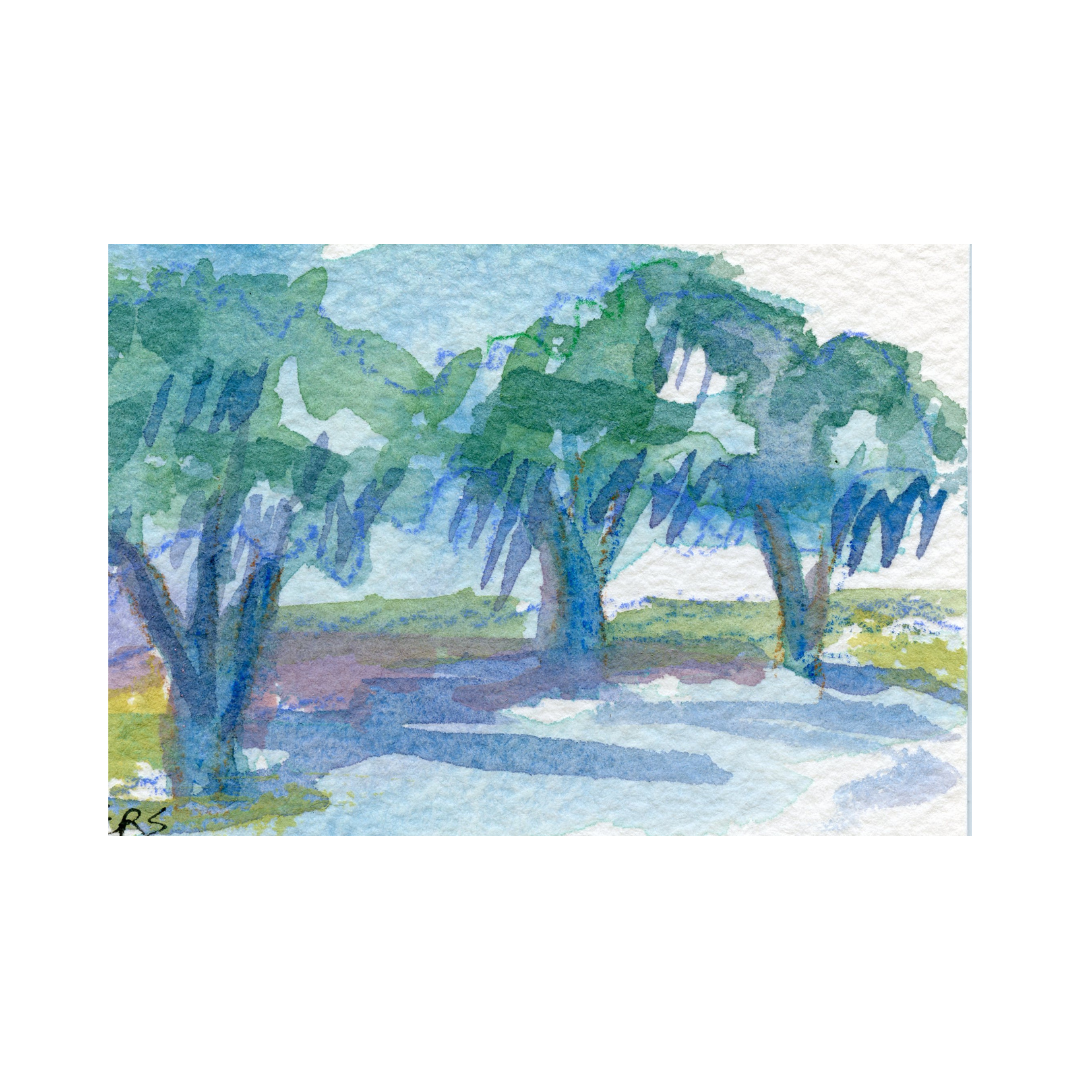 Original watercolor of three green oak trees casting blue shadows, bright sky—by Elizabeth Sheats Art & Design.