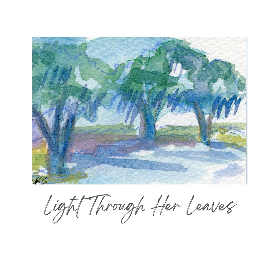 Watercolor of three live oaks in sunlight, titled Light Through Her Leaves by Elizabeth Sheats Art & Design.